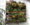 étagère d'atelier, mur végétal, vintage