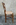 Chaise ancienne, restaurée, assise corde, fin XIXème s.