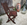 Fauteuil pliant de jardin en teck