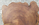 Table basse brutaliste chêne massif, tree trunk