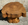 Table basse brutaliste chêne massif, tree trunk