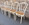 Lot de 4 chaises bistrot cannées crème – Thonet, l'élégance intemporelle, vintage années 60 / 70