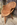 Fauteuil en rotin tressé à la main, esprit bord de mer vintage 