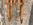 Luge ancienne en bois et métal – prête à dévaler les pentes ou à décorer votre chalet ou votre restaurant. 